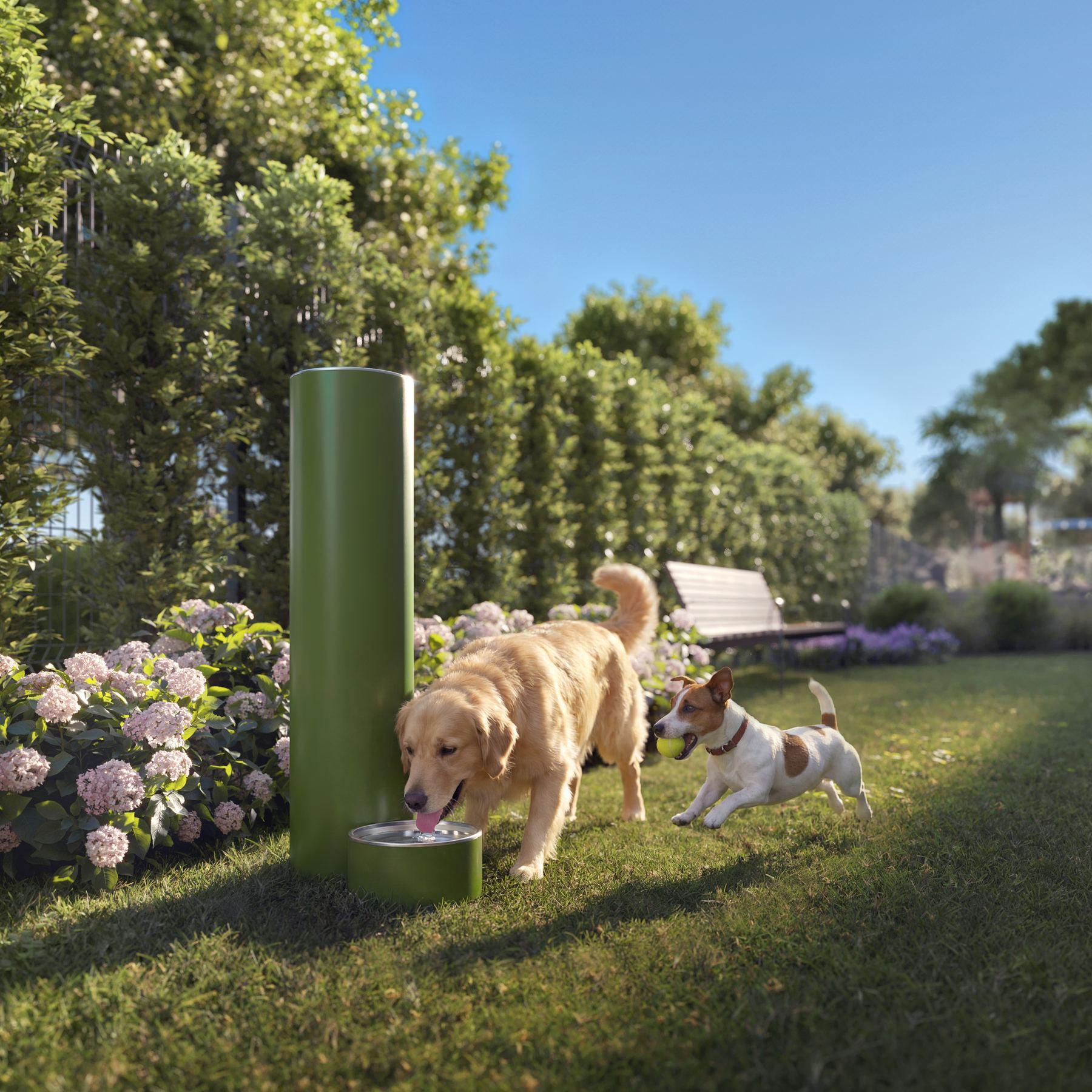 Parque para perros